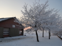 vinter